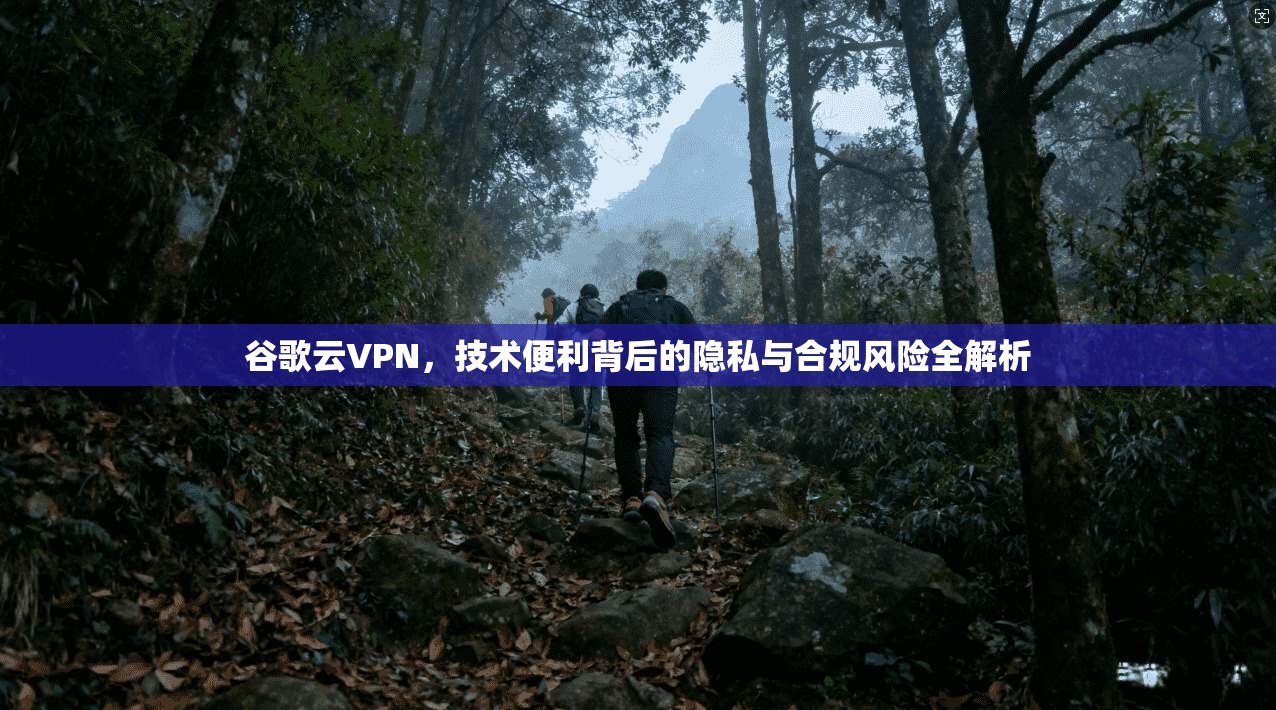 谷歌云VPN，技术便利背后的隐私与合规风险全解析