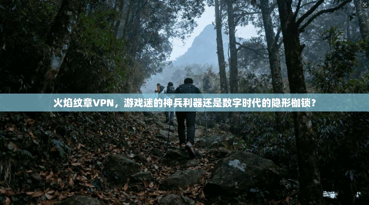 火焰纹章VPN，游戏迷的神兵利器还是数字时代的隐形枷锁？