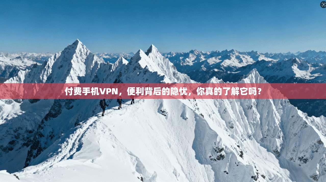 付费手机VPN，便利背后的隐忧，你真的了解它吗？