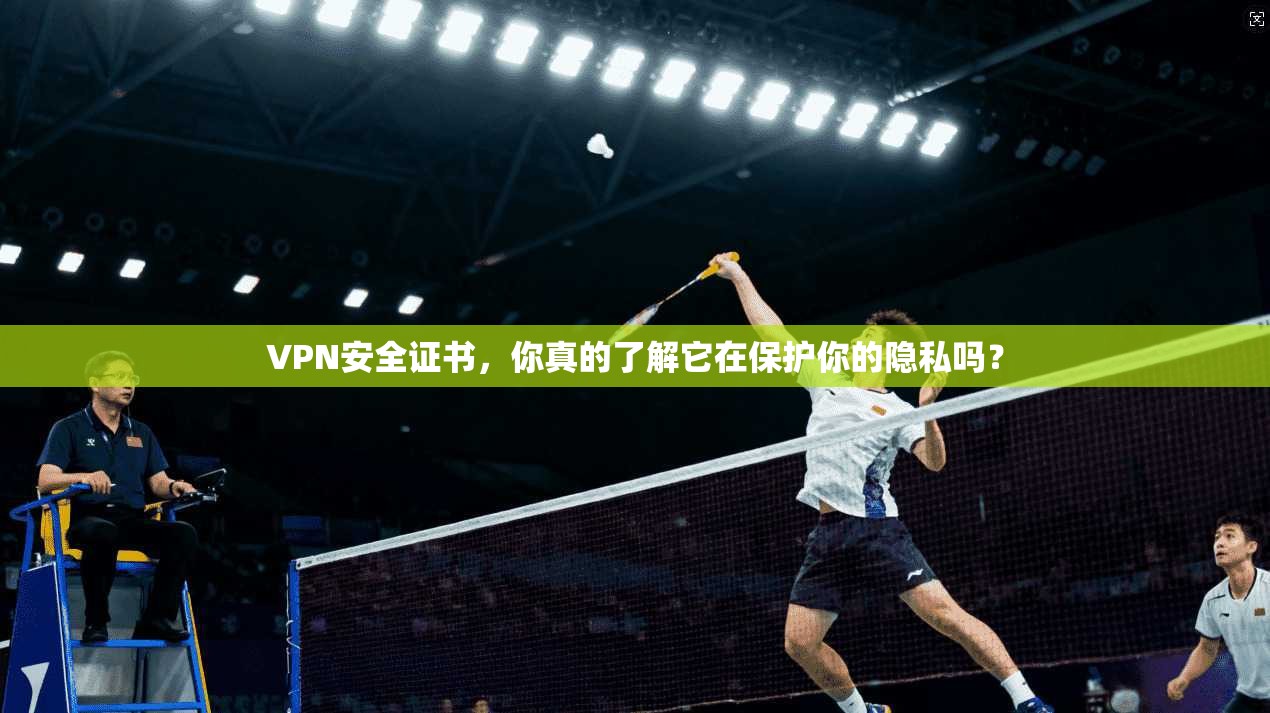 VPN安全证书，你真的了解它在保护你的隐私吗？