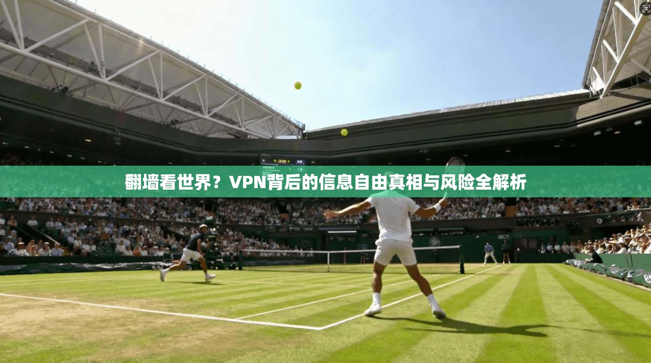 翻墙看世界？VPN背后的信息自由真相与风险全解析