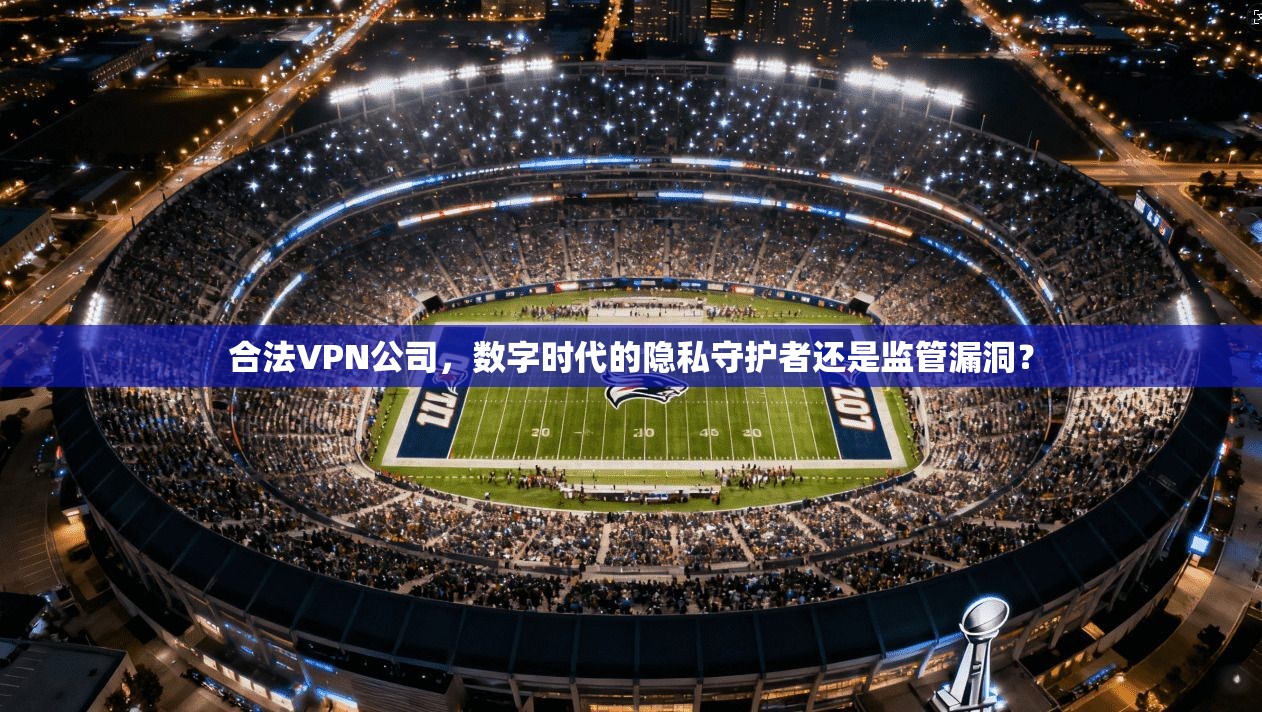 合法VPN公司，数字时代的隐私守护者还是监管漏洞？