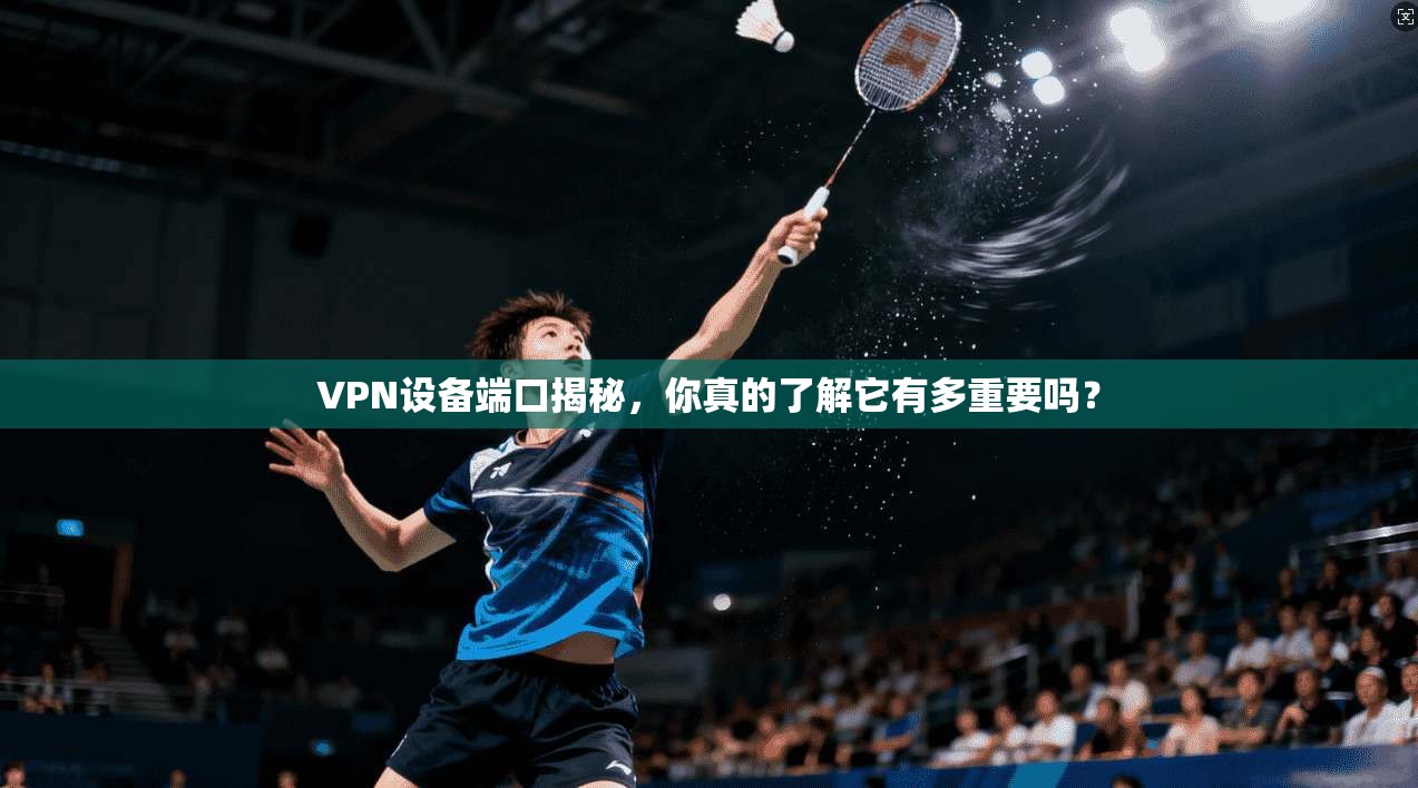 VPN设备端口揭秘，你真的了解它有多重要吗？