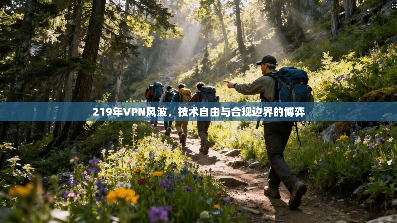 219年VPN风波，技术自由与合规边界的博弈