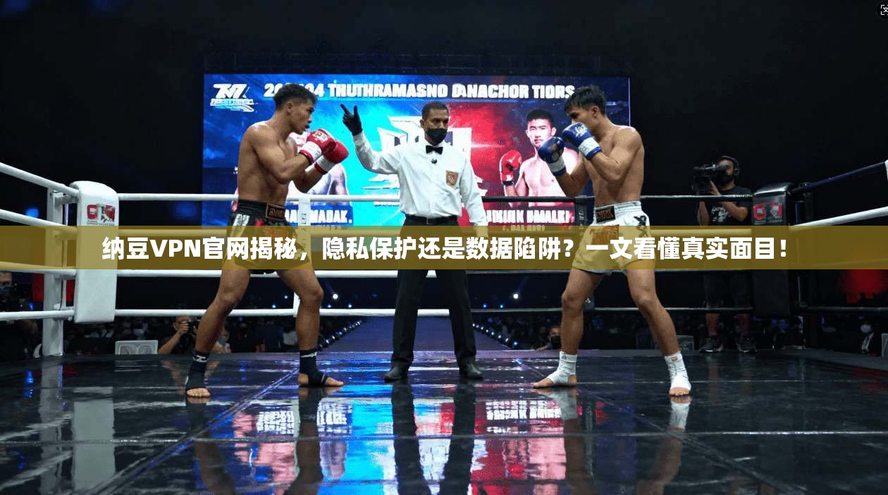 纳豆VPN官网揭秘，隐私保护还是数据陷阱？一文看懂真实面目！