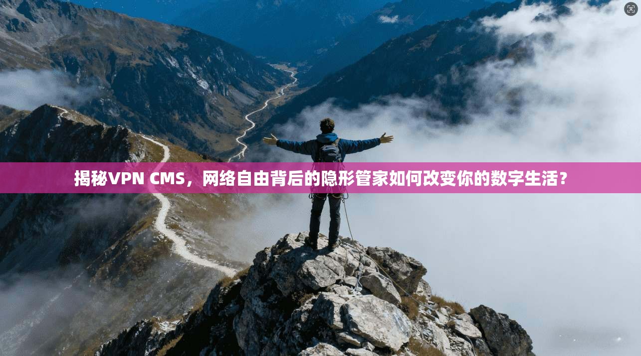 揭秘VPN CMS,网络自由背后的隐形管家如何改变你的数字生活?