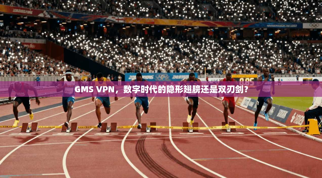 GMS VPN，数字时代的隐形翅膀还是双刃剑？