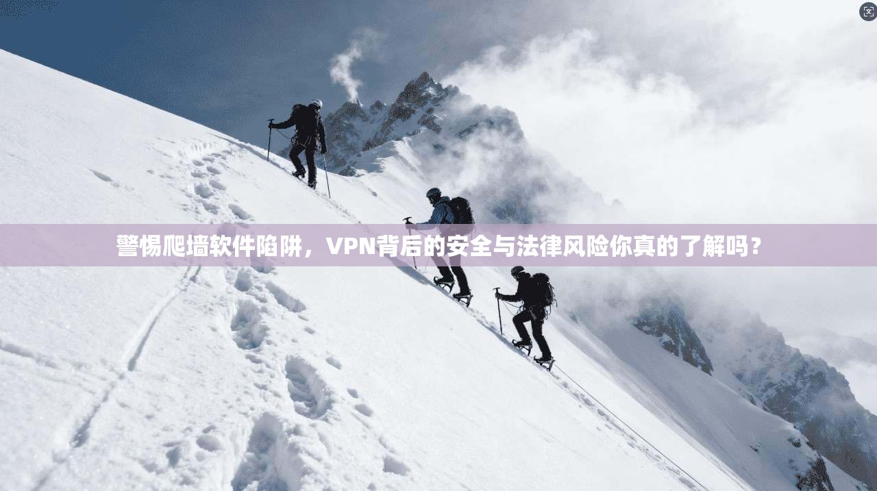 警惕爬墙软件陷阱，VPN背后的安全与法律风险你真的了解吗？
