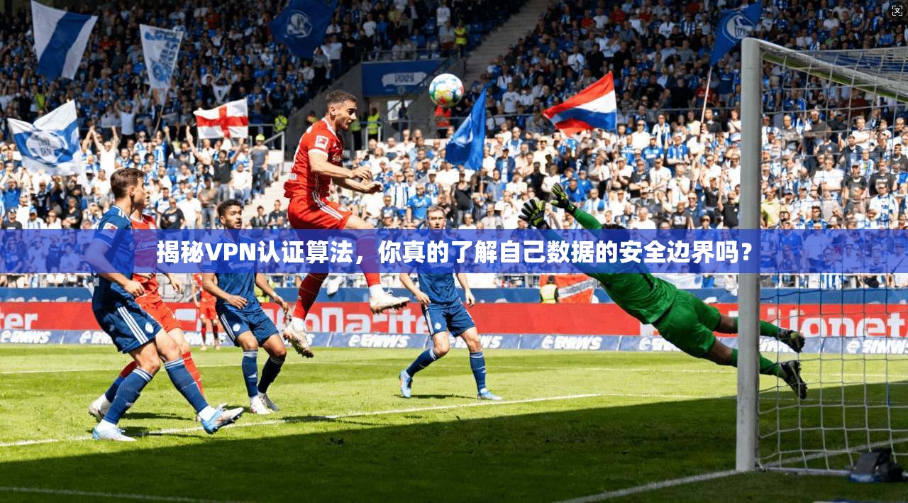 揭秘VPN认证算法,你真的了解自己数据的安全边界吗?