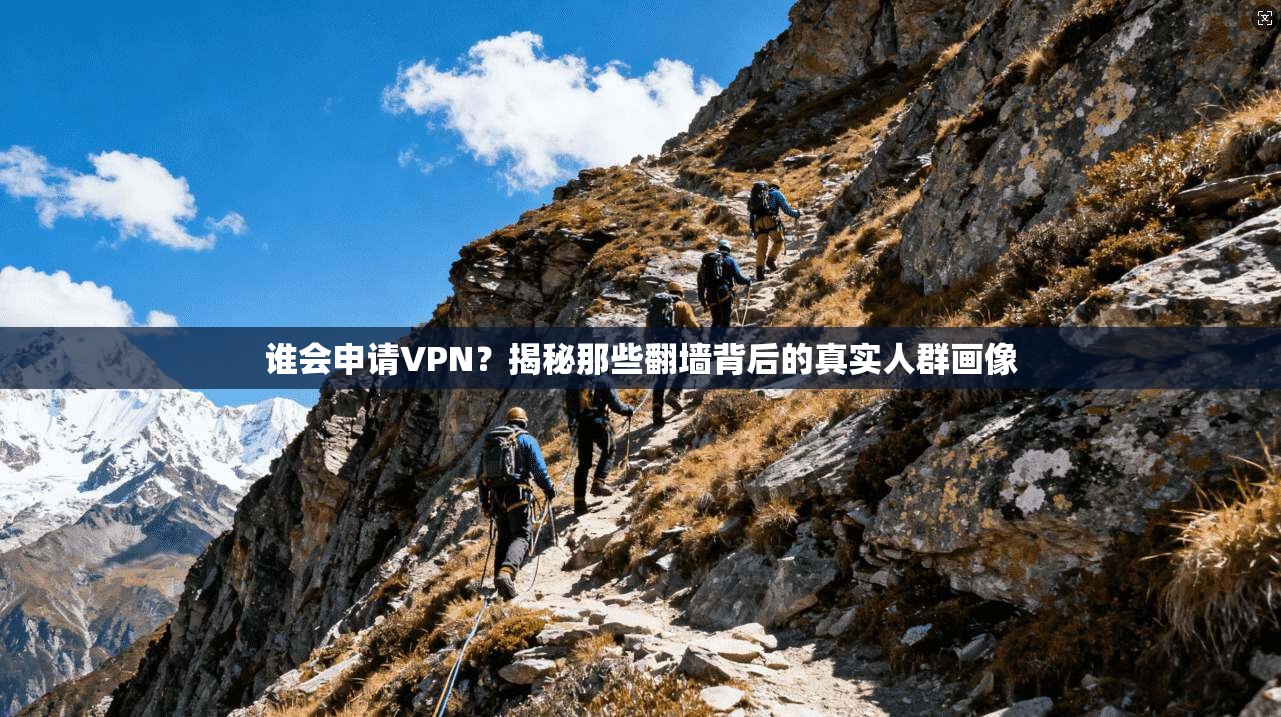 谁会申请VPN？揭秘那些翻墙背后的真实人群画像