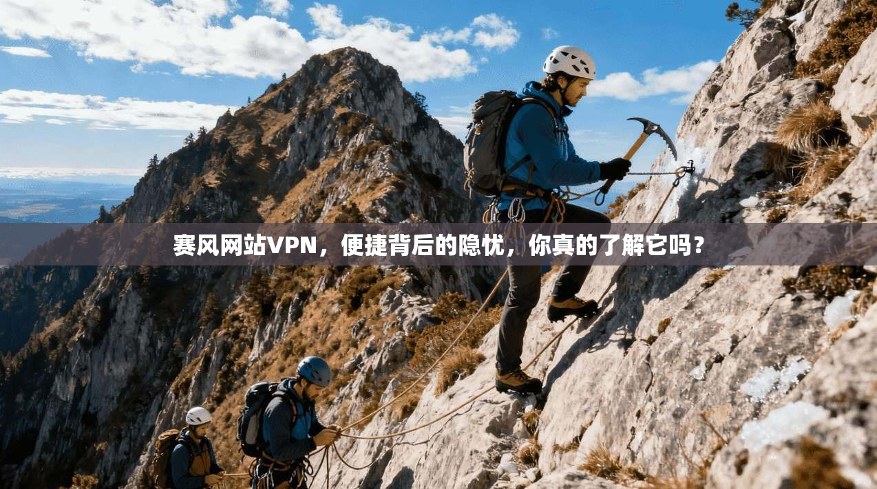 赛风网站VPN，便捷背后的隐忧，你真的了解它吗？