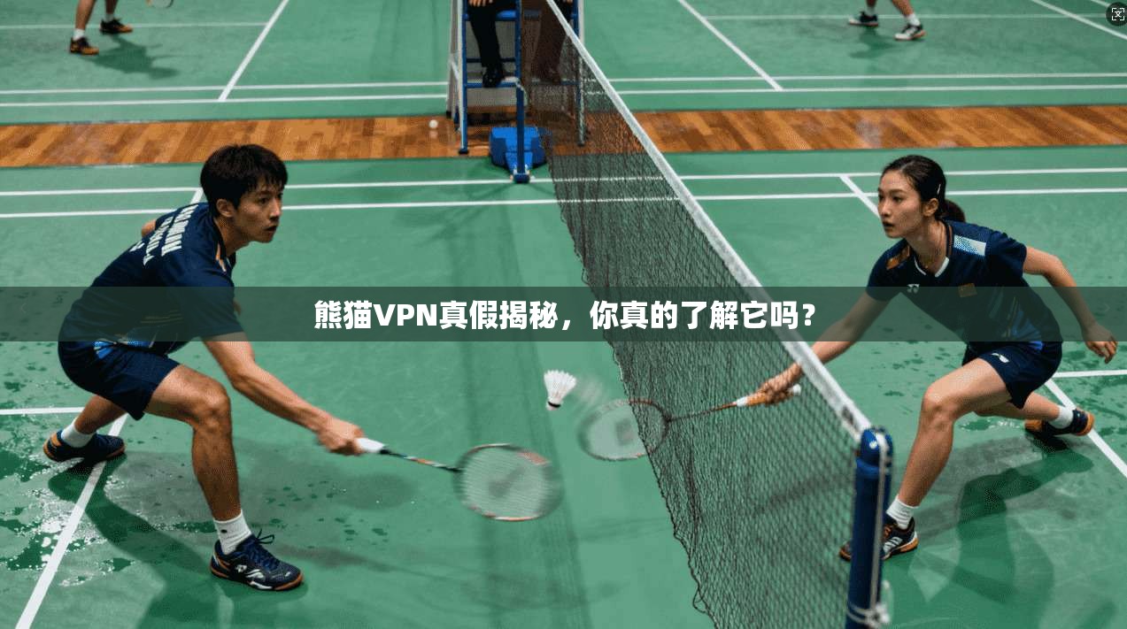 熊猫VPN真假揭秘,你真的了解它吗?