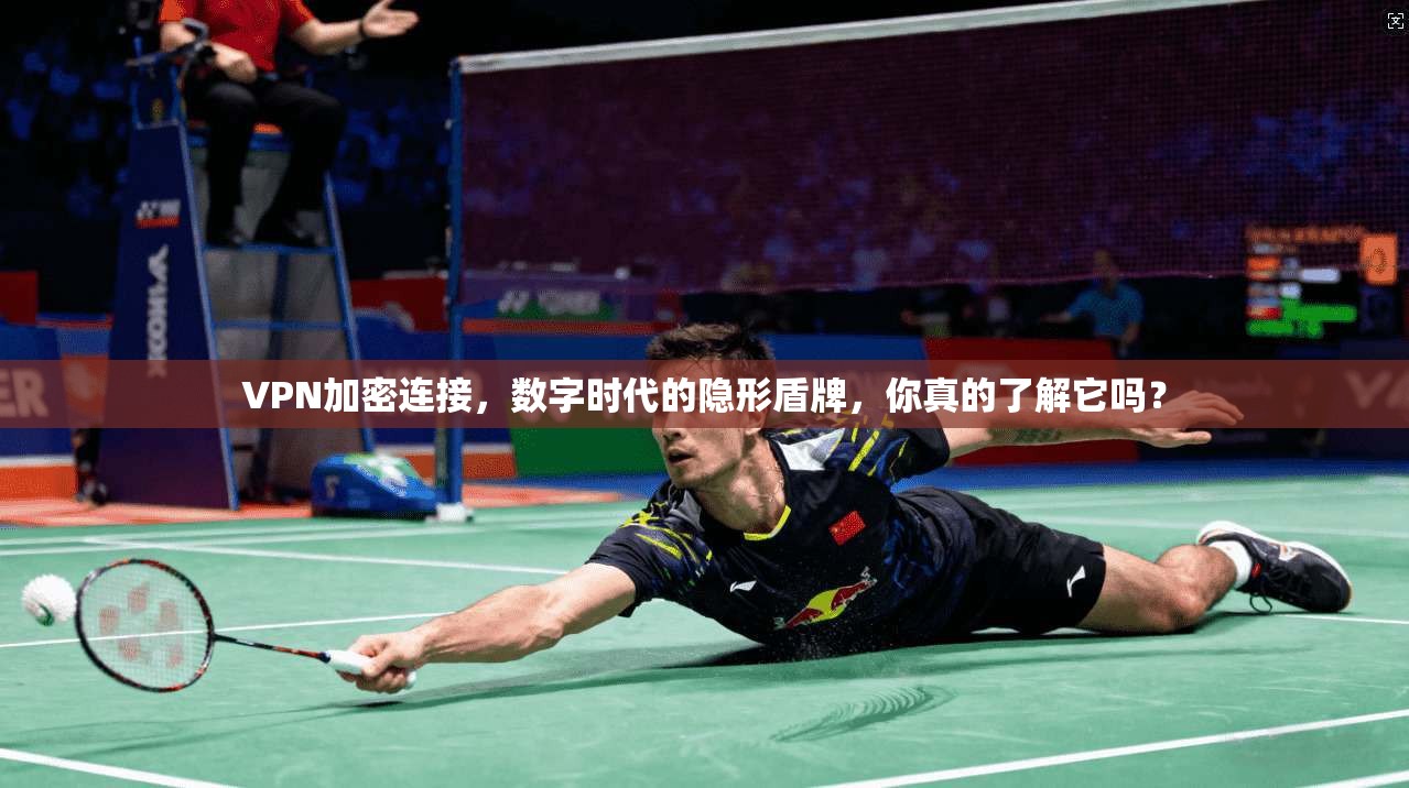 VPN加密连接，数字时代的隐形盾牌，你真的了解它吗？