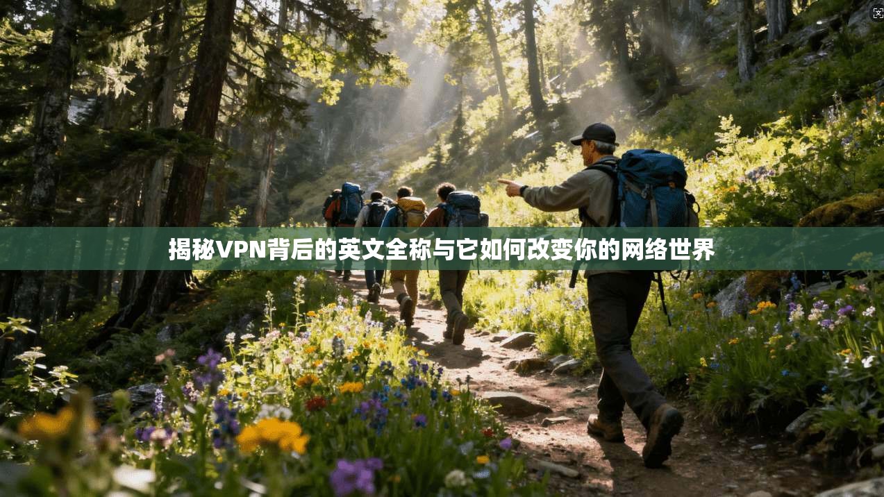 揭秘VPN背后的英文全称与它如何改变你的网络世界