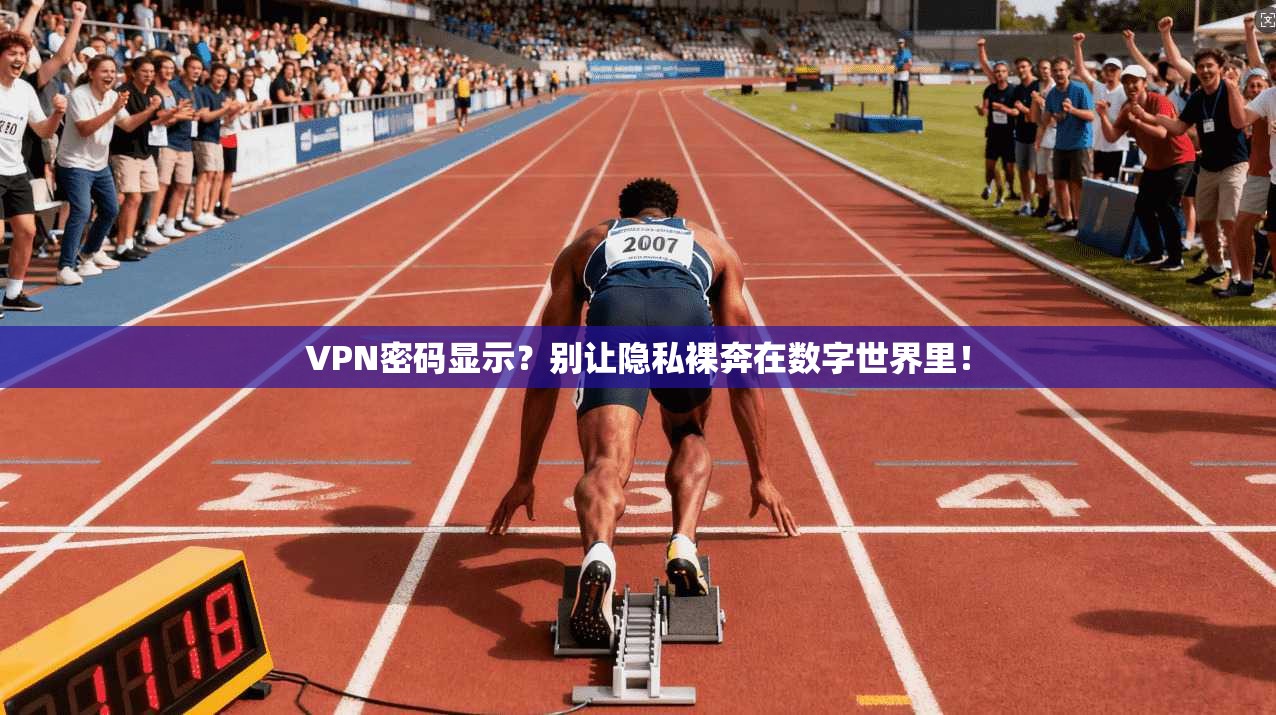 VPN密码显示？别让隐私裸奔在数字世界里！