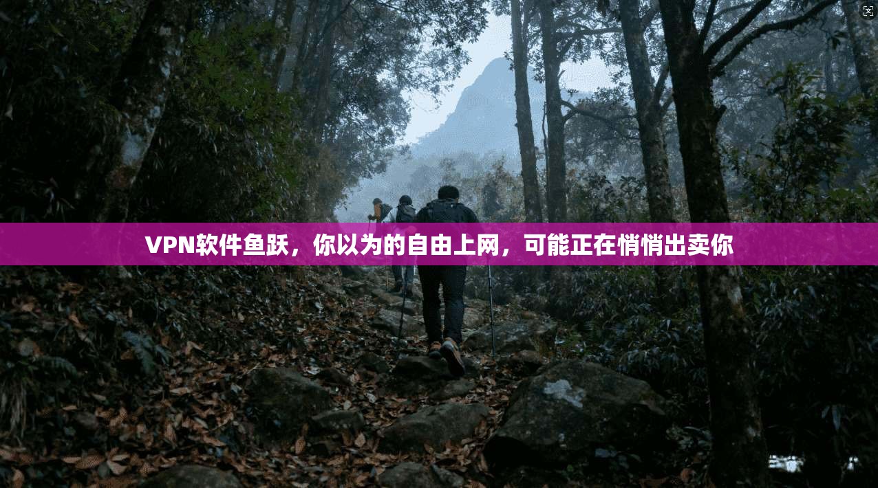 VPN软件鱼跃，你以为的自由上网，可能正在悄悄出卖你
