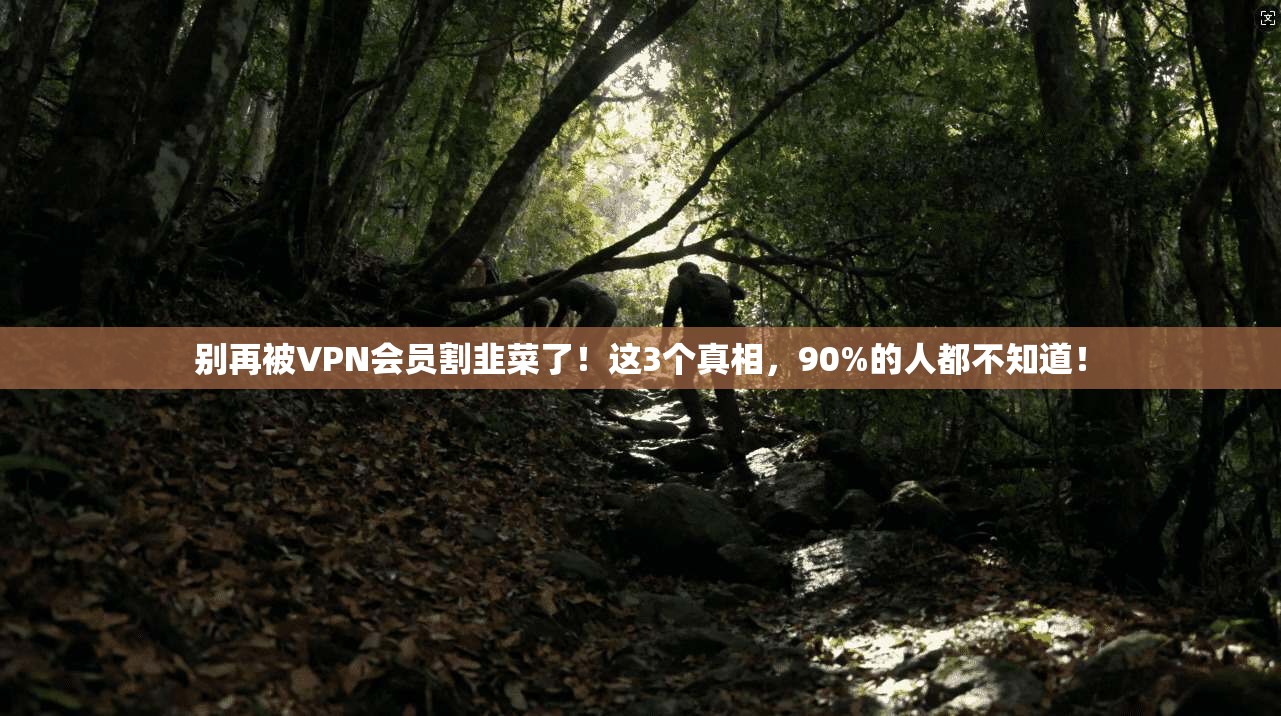 别再被VPN会员割韭菜了！这3个真相，90%的人都不知道！