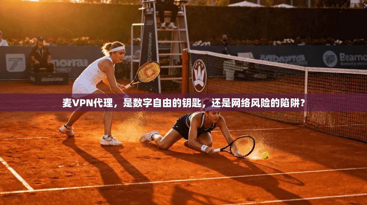 麦VPN代理，是数字自由的钥匙，还是网络风险的陷阱？
