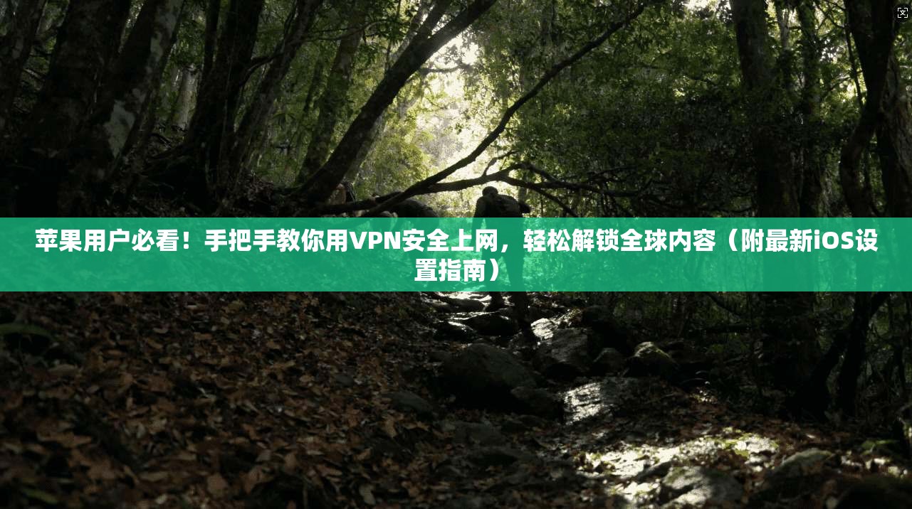 苹果用户必看!手把手教你用VPN安全上网,轻松解锁全球内容(附最新iOS设置指南)
