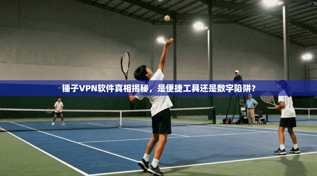 锤子VPN软件真相揭秘，是便捷工具还是数字陷阱？