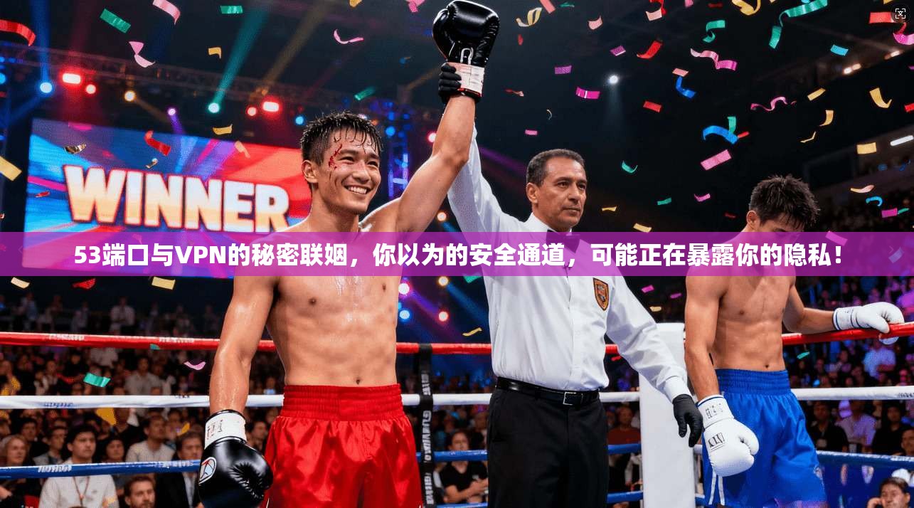 53端口与VPN的秘密联姻,你以为的安全通道,可能正在暴露你的隐私!
