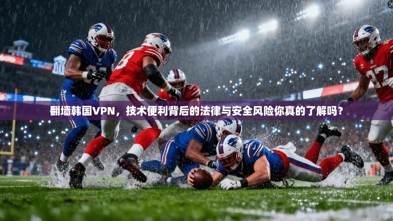 翻墙韩国VPN，技术便利背后的法律与安全风险你真的了解吗？