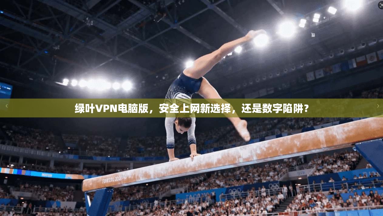 绿叶VPN电脑版，安全上网新选择，还是数字陷阱？