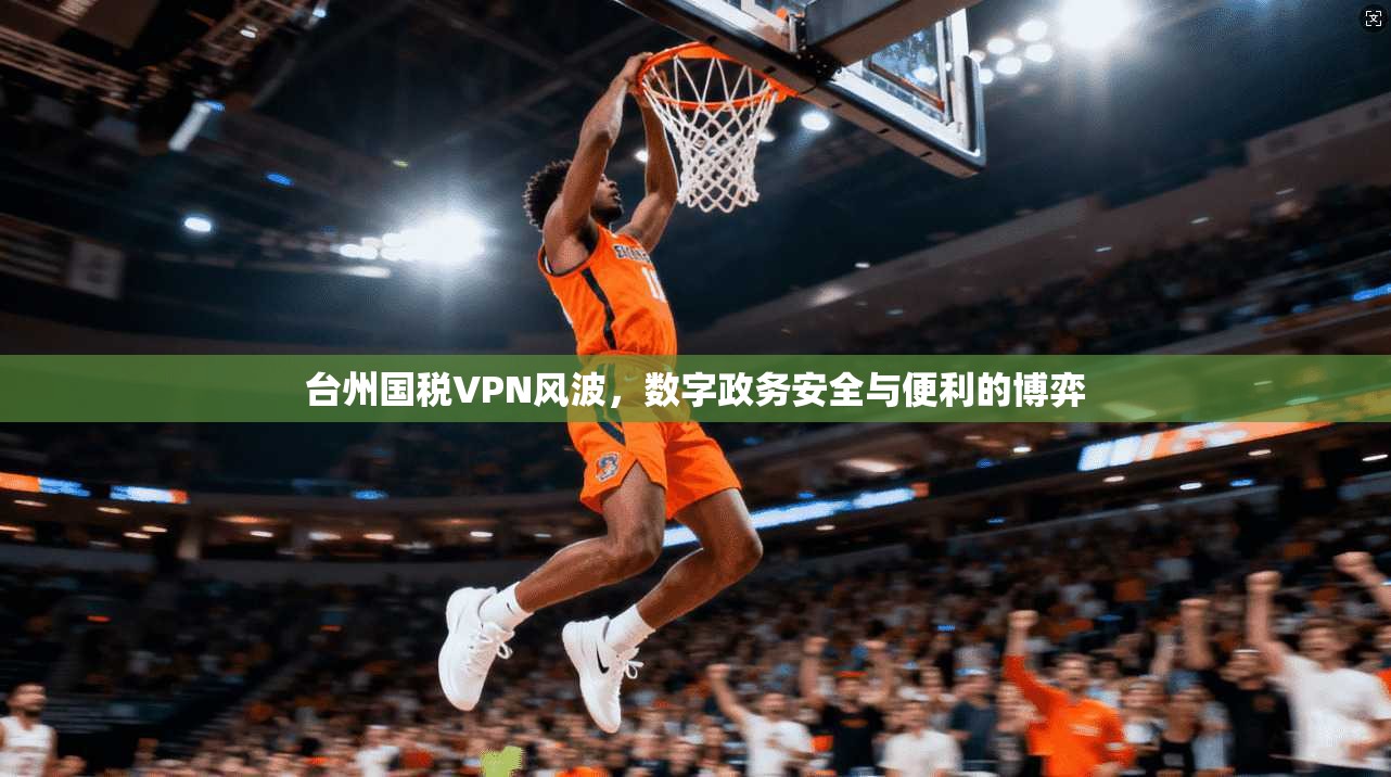 台州国税VPN风波，数字政务安全与便利的博弈