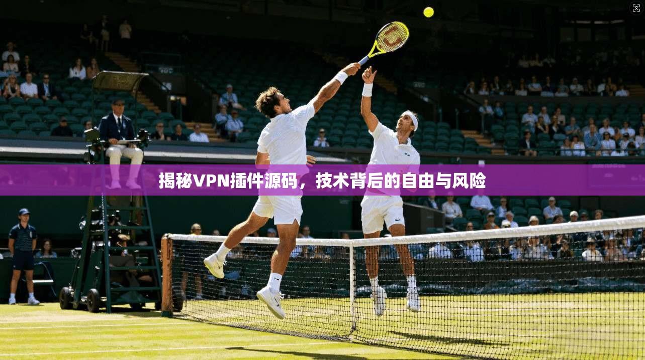 揭秘VPN插件源码，技术背后的自由与风险