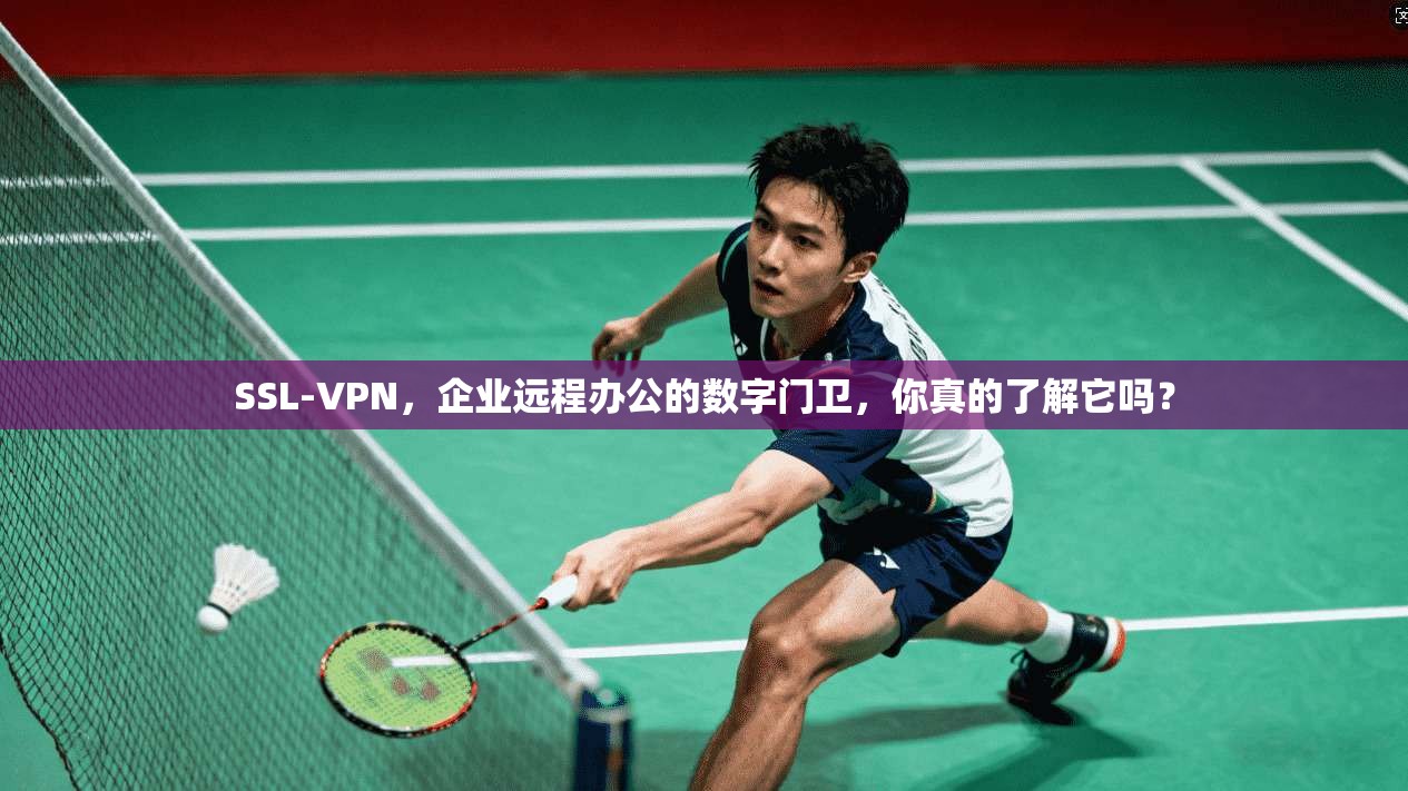 SSL-VPN，企业远程办公的数字门卫，你真的了解它吗？