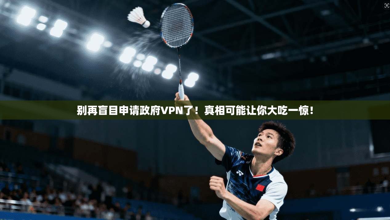 别再盲目申请政府VPN了！真相可能让你大吃一惊！