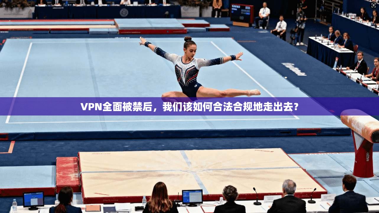 VPN全面被禁后，我们该如何合法合规地走出去？