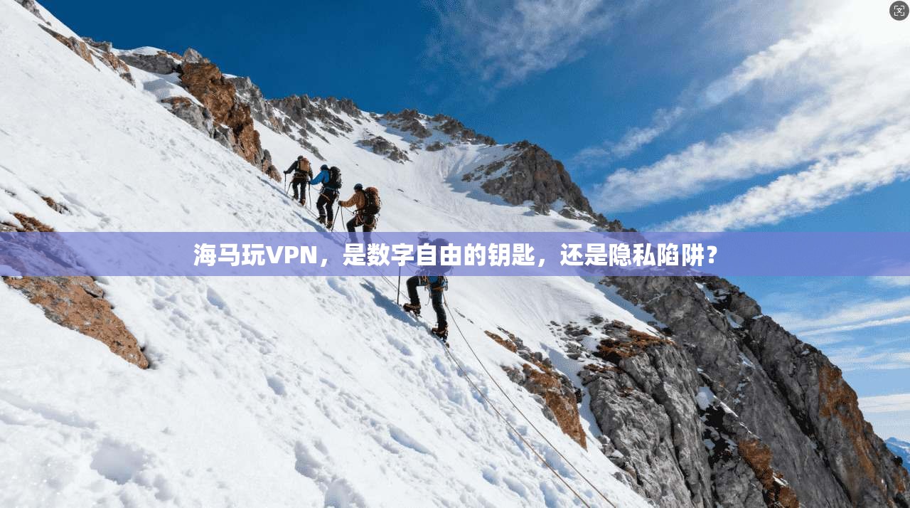 海马玩VPN，是数字自由的钥匙，还是隐私陷阱？
