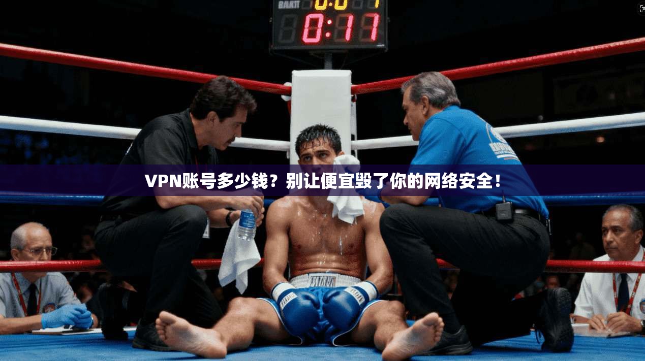 VPN账号多少钱？别让便宜毁了你的网络安全！