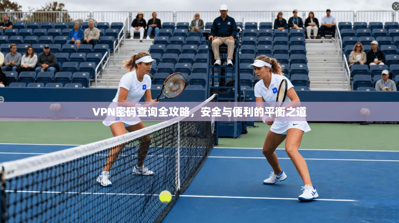 VPN密码查询全攻略，安全与便利的平衡之道