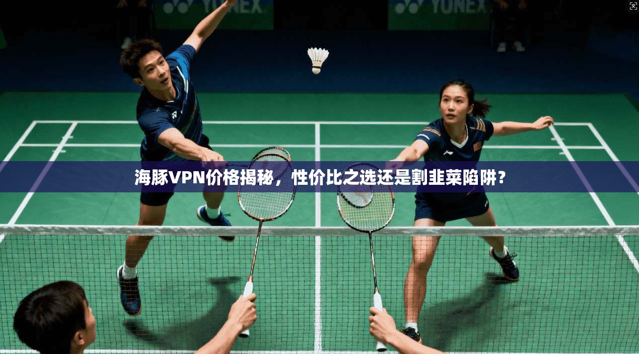 海豚VPN价格揭秘,性价比之选还是割韭菜陷阱?