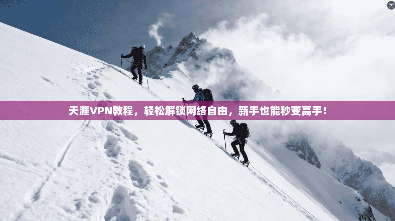 天涯VPN教程，轻松解锁网络自由，新手也能秒变高手！