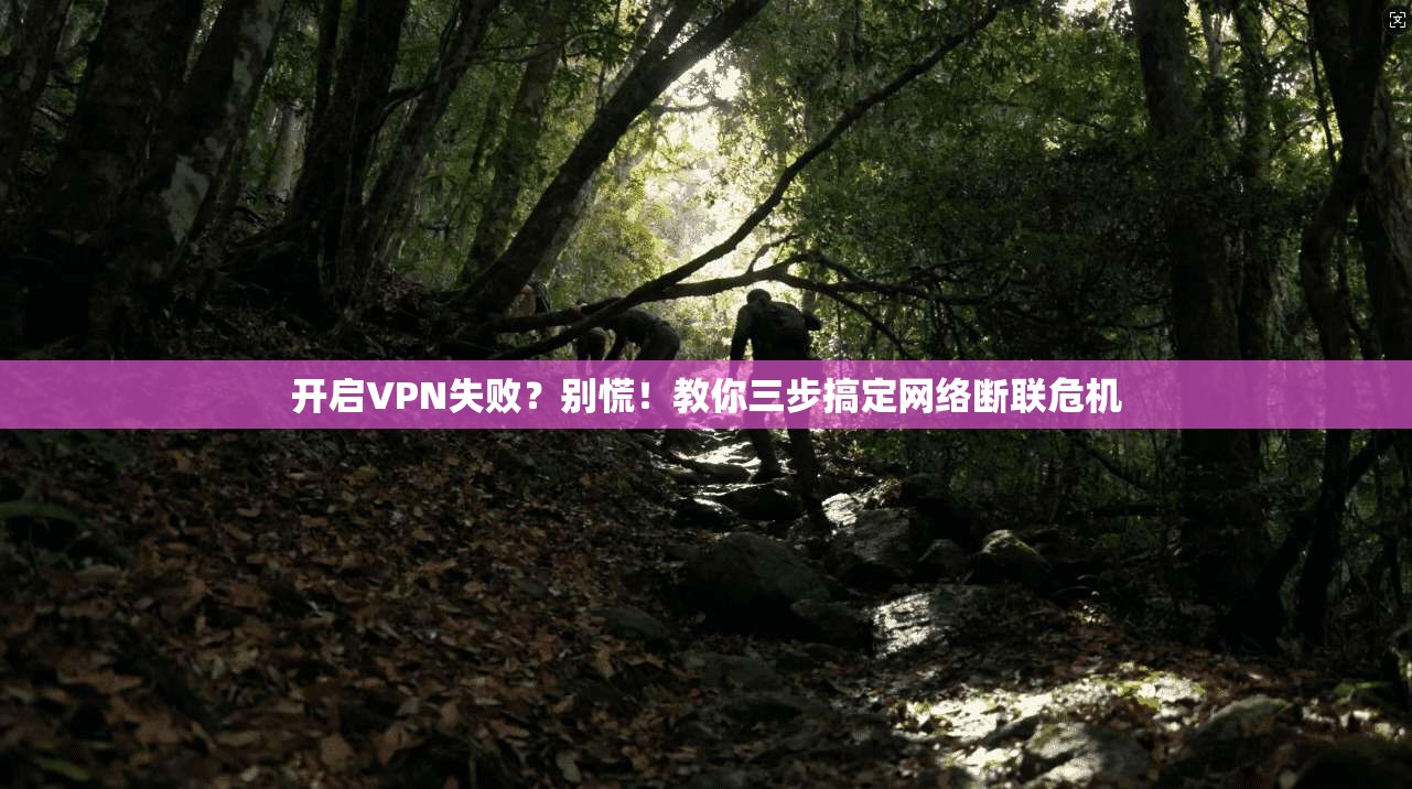 开启VPN失败?别慌!教你三步搞定网络断联危机