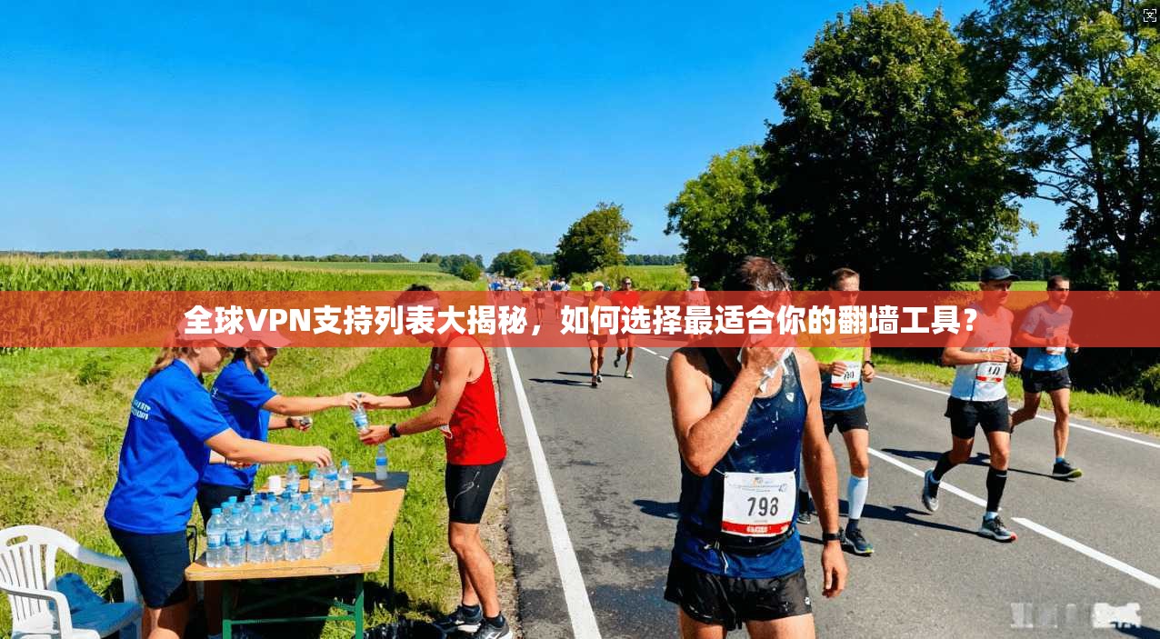 全球VPN支持列表大揭秘，如何选择最适合你的翻墙工具？