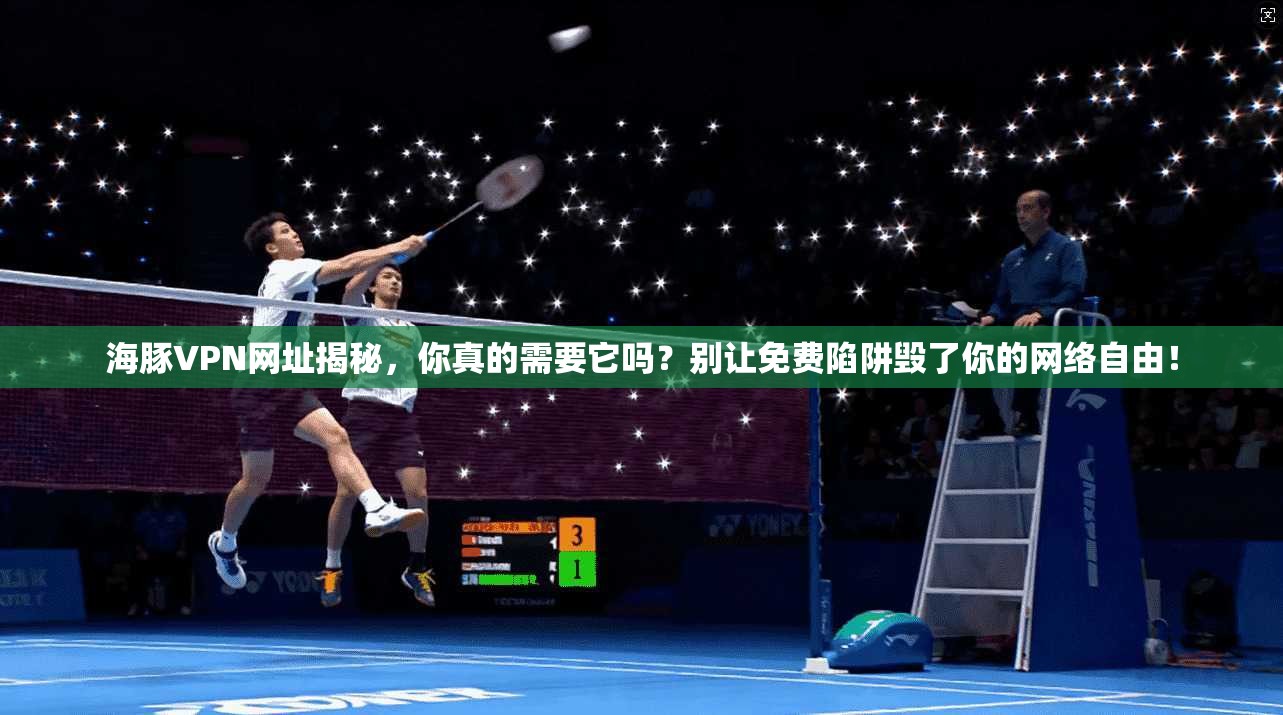 海豚VPN网址揭秘,你真的需要它吗?别让免费陷阱毁了你的网络自由!