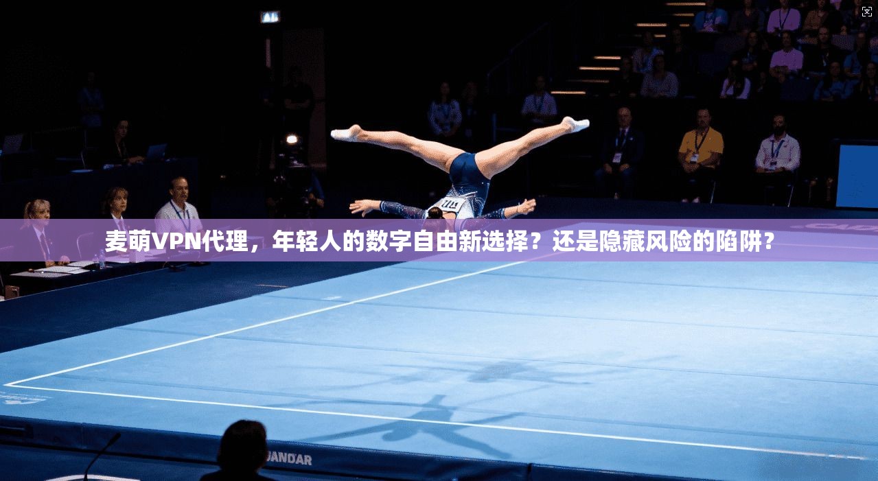 麦萌VPN代理,年轻人的数字自由新选择?还是隐藏风险的陷阱?