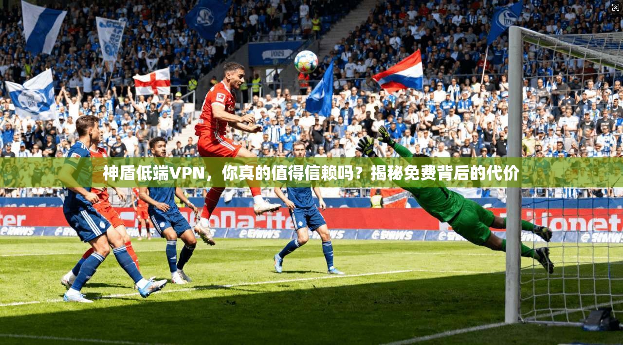 神盾低端VPN,你真的值得信赖吗?揭秘免费背后的代价