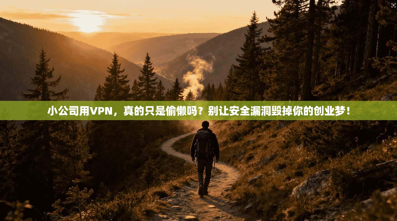 小公司用VPN，真的只是偷懒吗？别让安全漏洞毁掉你的创业梦！