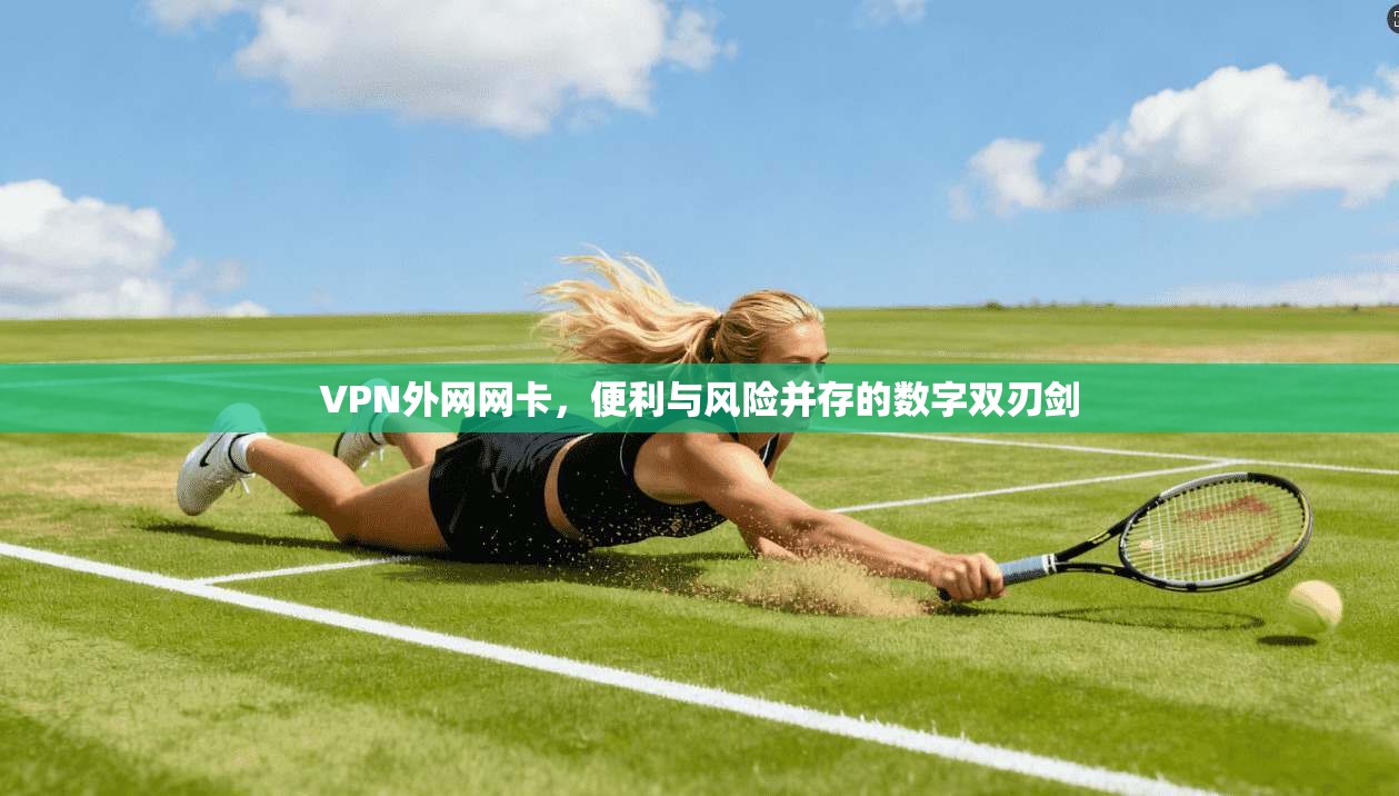 VPN外网网卡，便利与风险并存的数字双刃剑