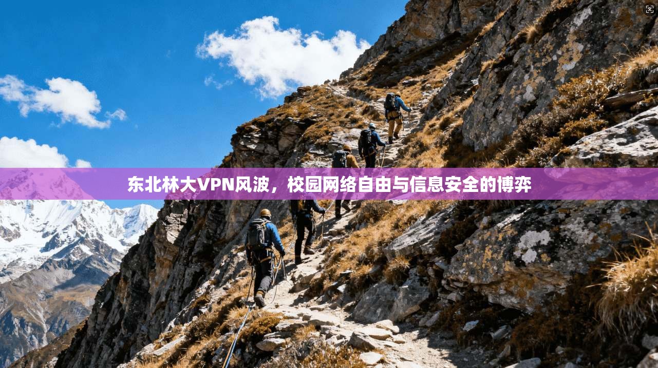 东北林大VPN风波，校园网络自由与信息安全的博弈
