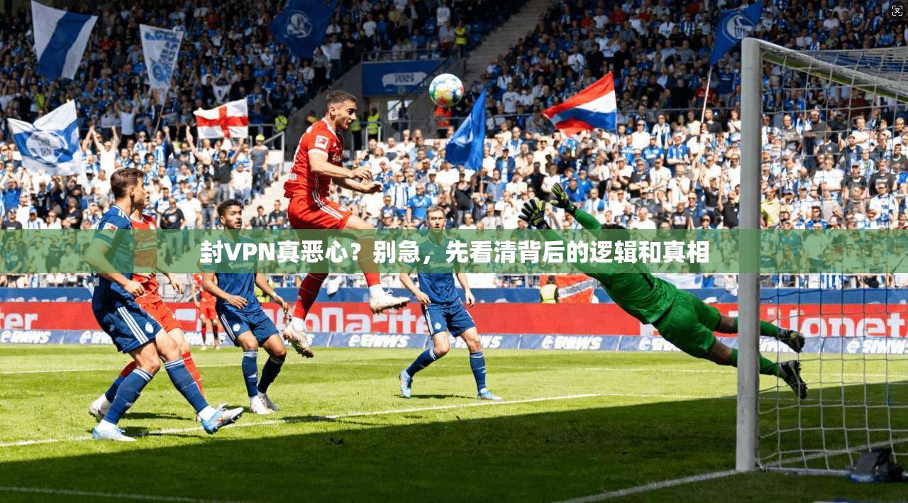 封VPN真恶心？别急，先看清背后的逻辑和真相