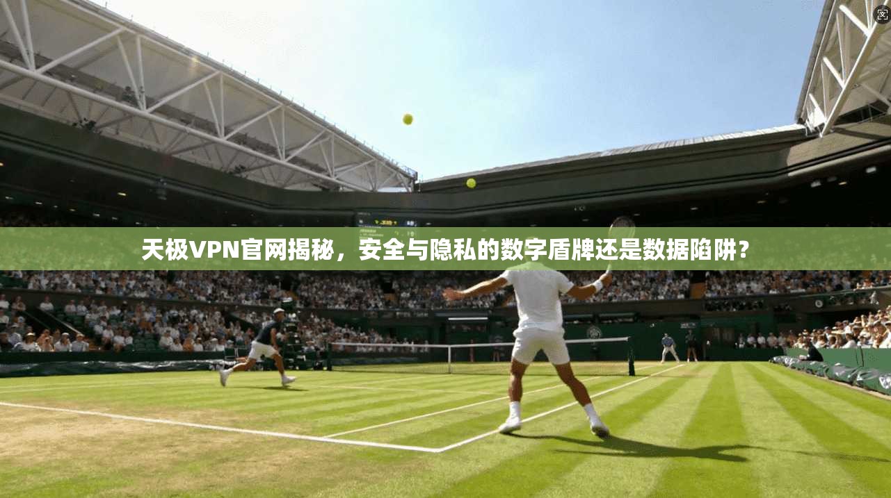 天极VPN官网揭秘,安全与隐私的数字盾牌还是数据陷阱?