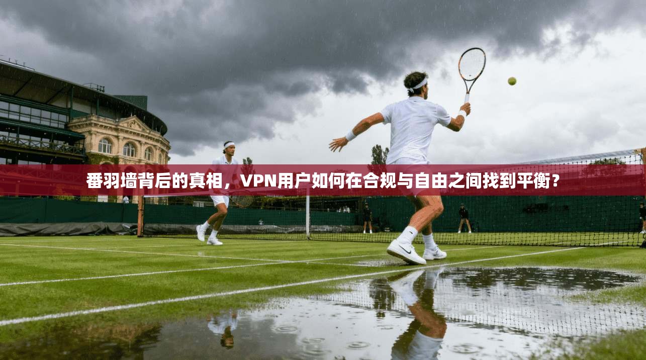 番羽墙背后的真相，VPN用户如何在合规与自由之间找到平衡？