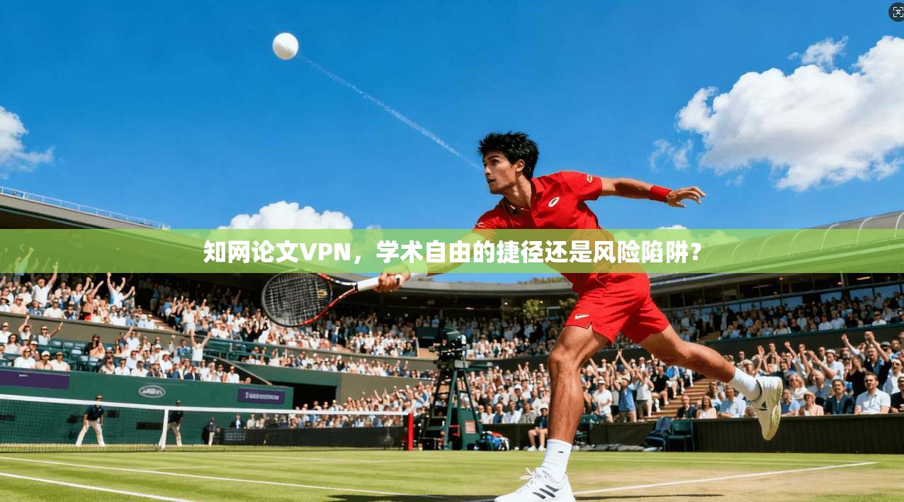 知网论文VPN，学术自由的捷径还是风险陷阱？