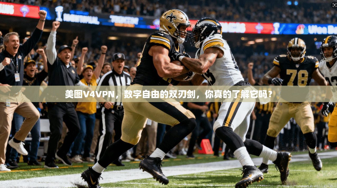美图V4VPN，数字自由的双刃剑，你真的了解它吗？